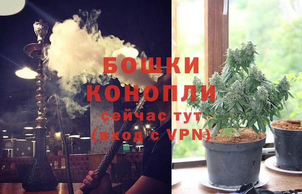 ALPHA PVP Белокуриха