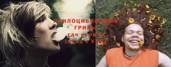 ALPHA PVP Белокуриха
